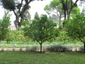 ...with some lush hidden gardens ...