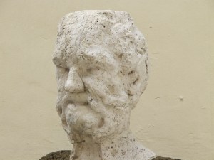 Babuino, looking happy 